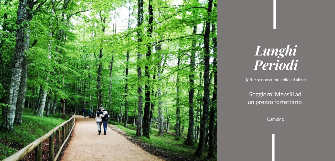 Soggiorni lunghi Vieste Marina: più resti più risparmi al mare Soggiorni lunghi e mensili al camping Vieste Marina al mare del Gargano con offerte dedicate